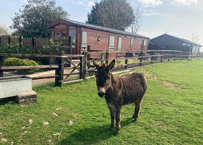 Rew Farm Country And Equestrian Accommodation - Sunset Lodge