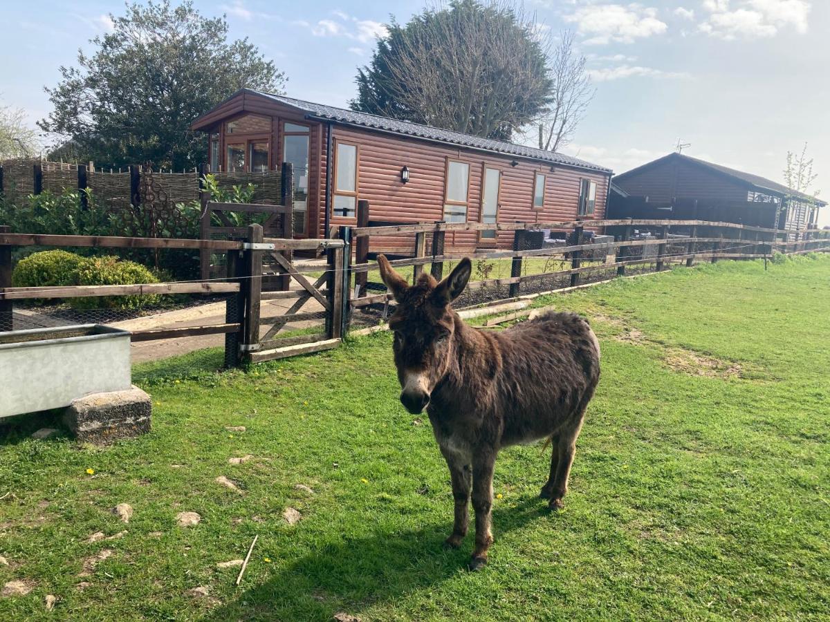 Rew Farm Country And Equestrian - Sunset Apartment Melksham