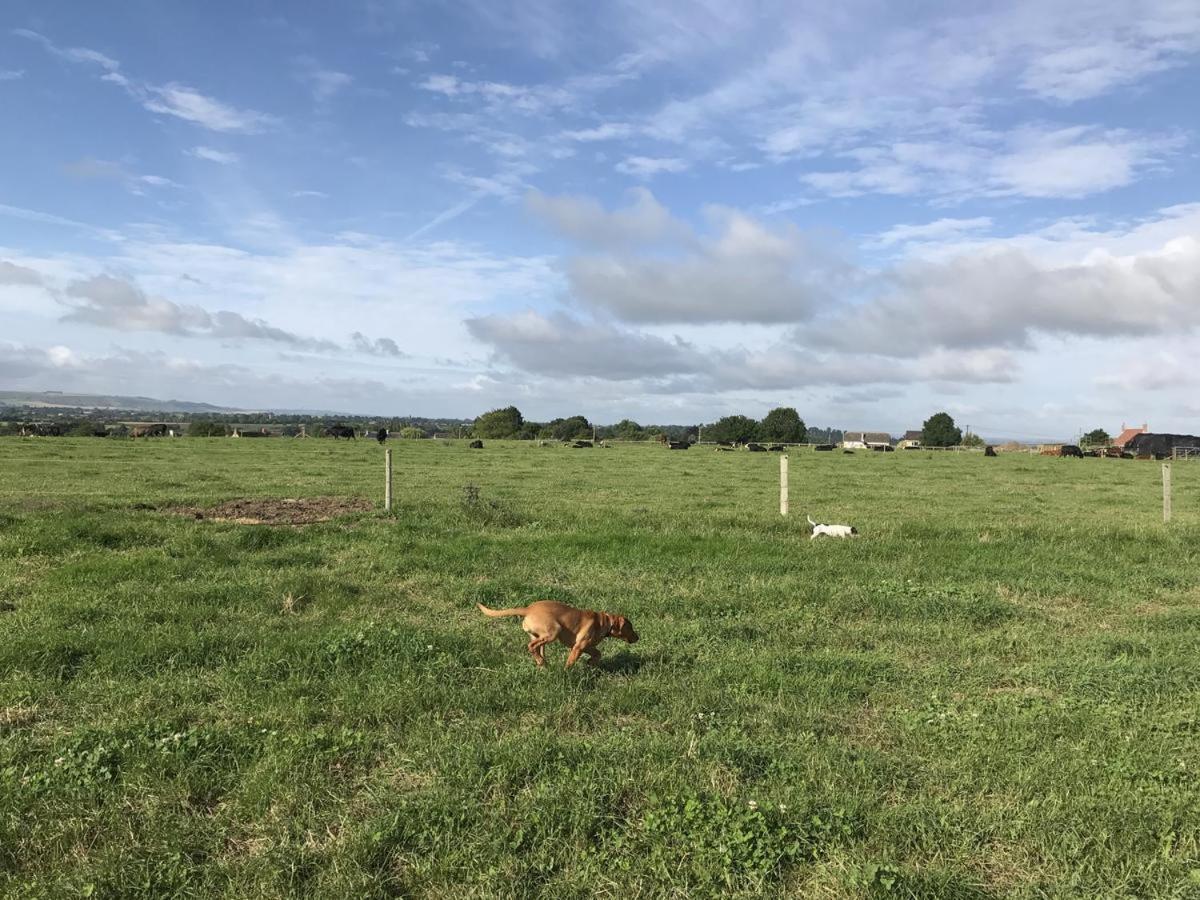 Rew Farm Country And Equestrian - Sunset Apartment Melksham