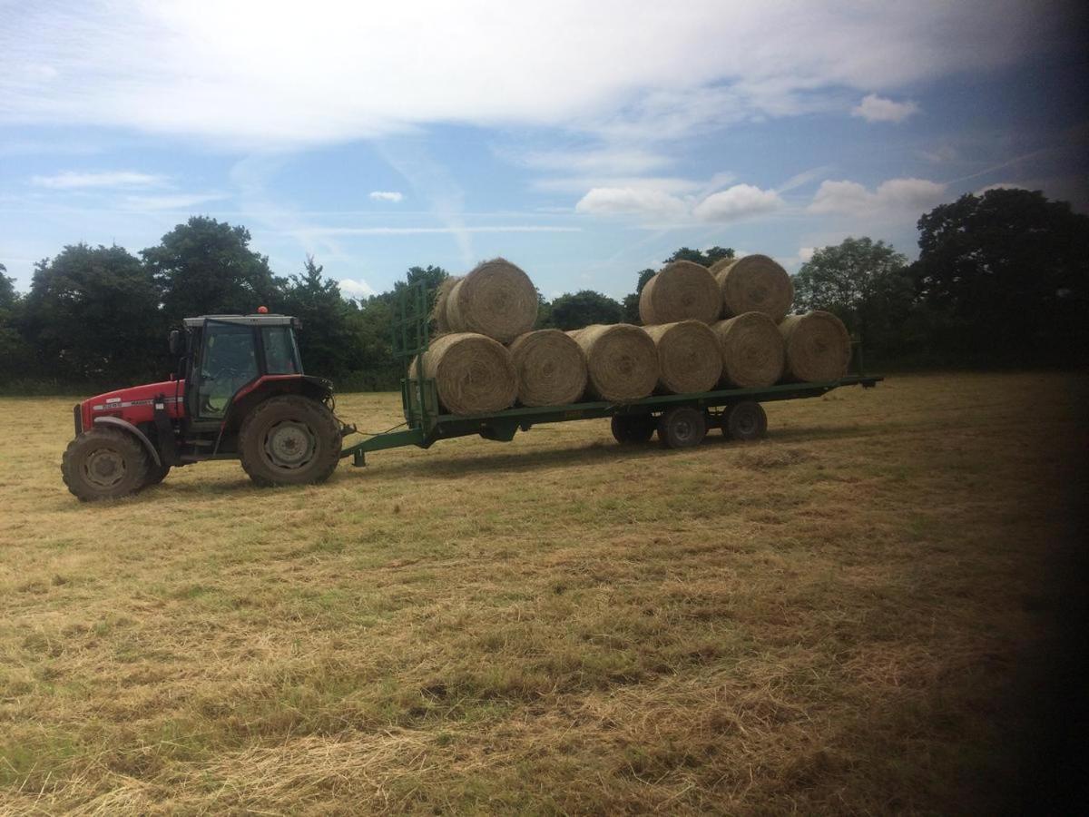Rew Farm Country And Equestrian - Sunset Apartment Melksham